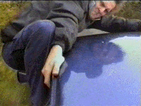 video still