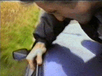 video still