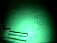 video still