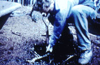 video still